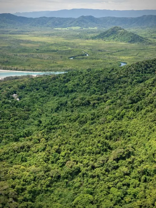 Daintree River Cruise