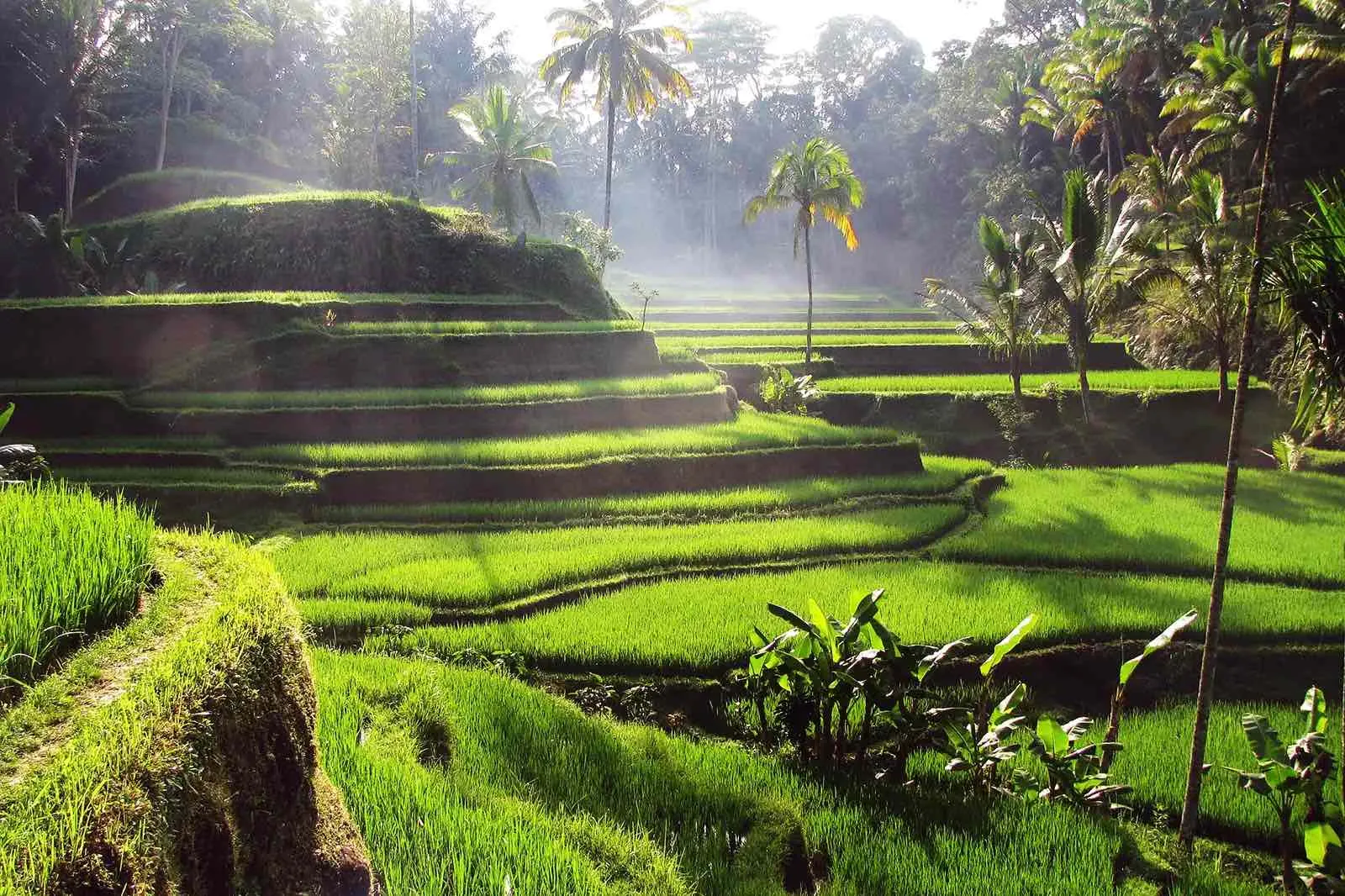 Bali, Singapur a Malajzia